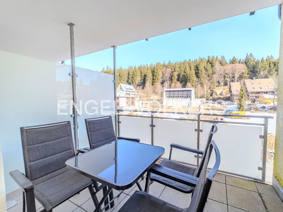 Holiday apartment on Feldberg – photo 6 of 9