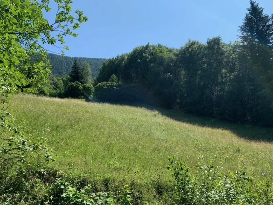 Terreno edificabile Mayen de l'Arbarey - Saxon