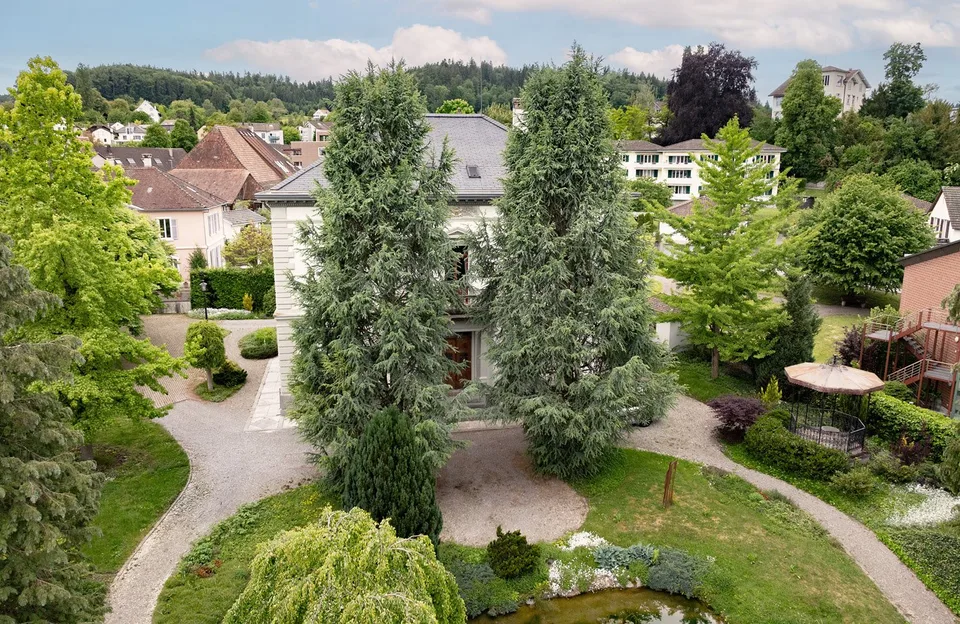 Villa storica con diverse possibilità di utilizzo – foto 8 di 8
