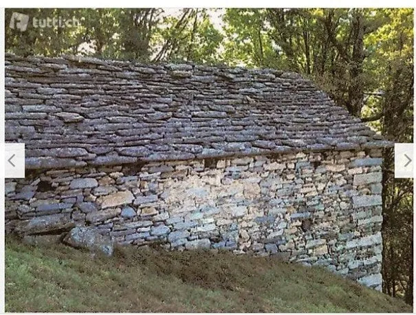 Rustic barn to be renovated with meadow and wood (6538mq)