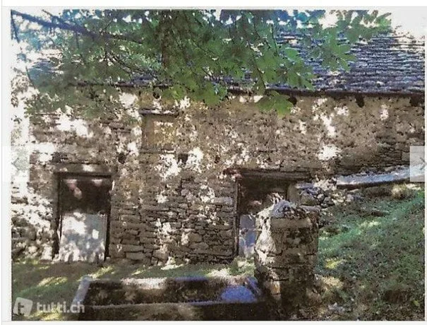 Rustic barn to be renovated with meadow and wood (6538mq)