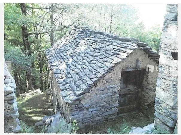 Rustic barn to be renovated with meadow and wood (6538mq)