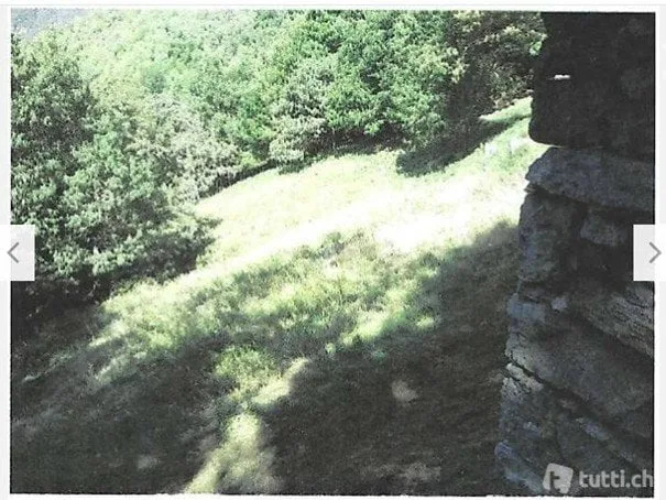 Rustic barn to be renovated with meadow and wood (6538mq)