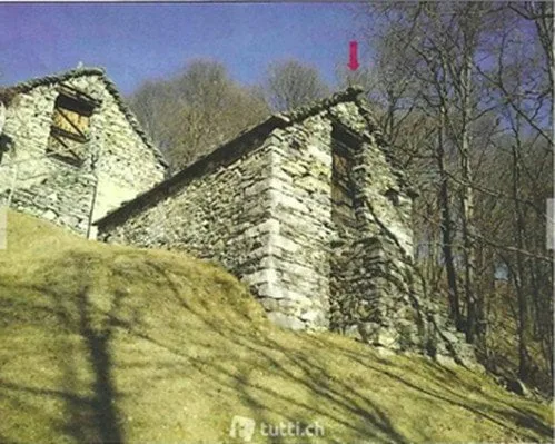 Rustico (stalla) da riattare con prato e bosco (6538mq)