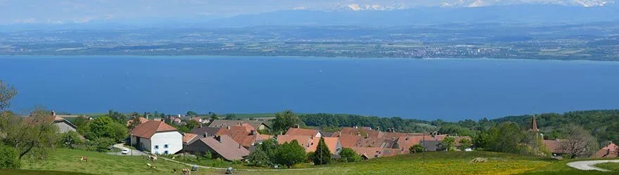Appartement 3.5 pièces -- Un cocon dans un écrin de verdure