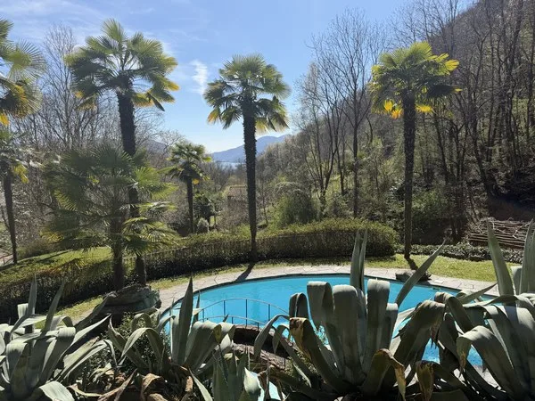 Oggetto per amatori - Liebhaber Objekt - Property suited to connoisseurs