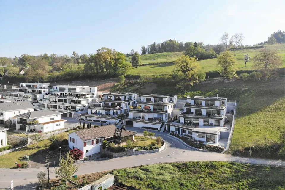 Grünfläche in Unterlunkhofen zu verkaufen - Kleinbauten & Rebberg