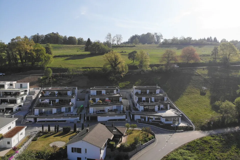 Grünfläche in Unterlunkhofen zu verkaufen - Kleinbauten & Rebberg
