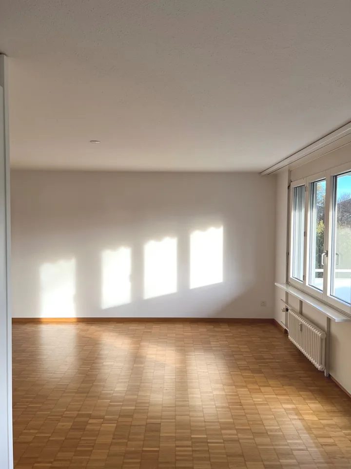 Bello appartamento 3.5 locali con balcone