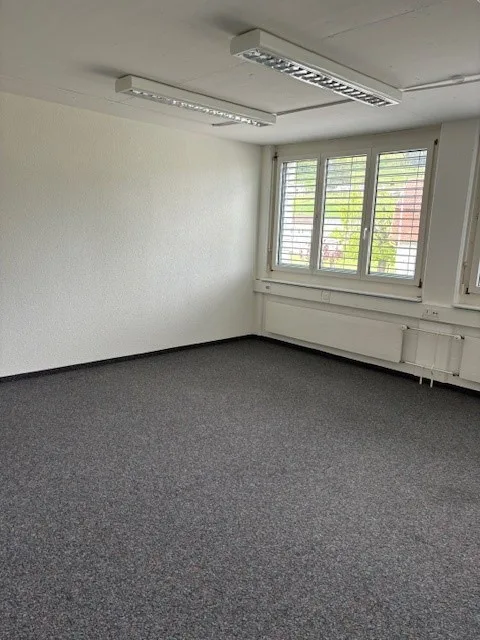 Bright office spaces for your business model – photo 6 of 9