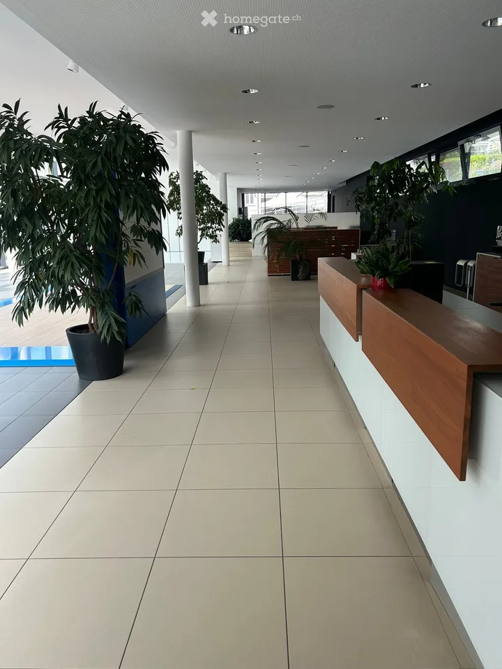 Locale Commerciale Moderno in Affitto a Minusio – Via San Gottardo 139