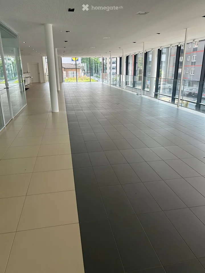 Locale Commerciale Moderno in Affitto a Minusio – Via San Gottardo 139