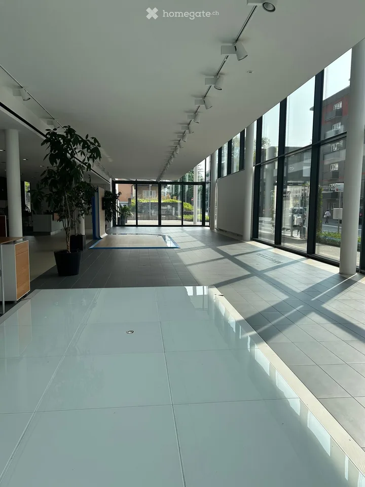Locale Commerciale Moderno in Affitto a Minusio – Via San Gottardo 139