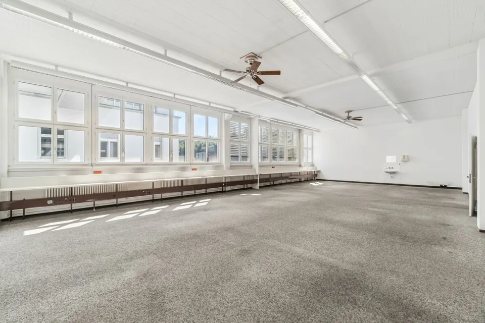Vitus Area - Espace pour Votre Succès – photo 7 sur 12