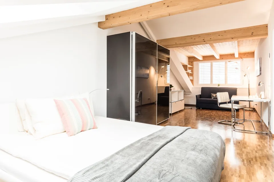 Modern Apartment with roof top terrace – Zurich Oerlikon