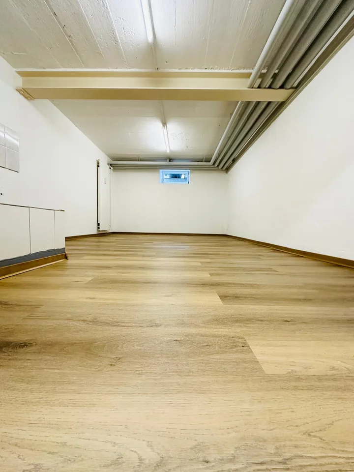 Ideale sala hobby ad Alchenflüh