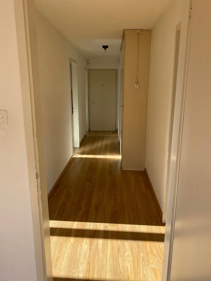 Appartamento luminoso, carino 3.5 locali - dal 1.10.