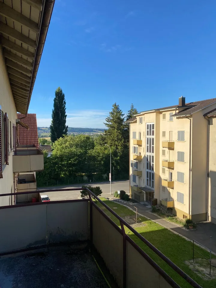 Appartamento luminoso, carino 3.5 locali - dal 1.10.