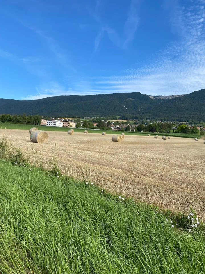 Appartamento luminoso, carino 3.5 locali - dal 1.10.