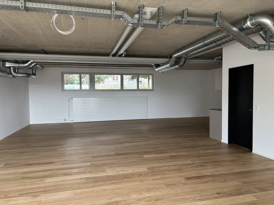 Attractive studio (105m2) in Rorschach