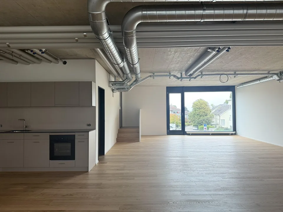 Attractive studio (105m2) in Rorschach