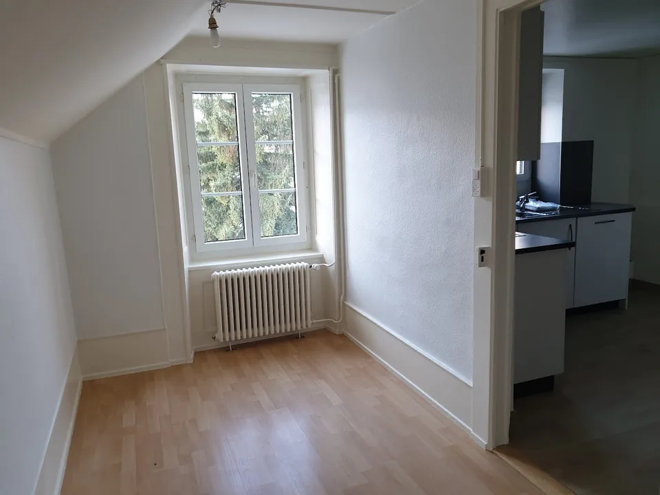 Joli appartement de 3 pièces au centre du village