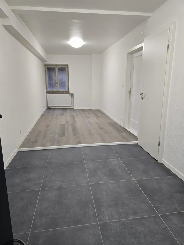 Très joli appartement 2 pièces rénové  ** 1ère location **