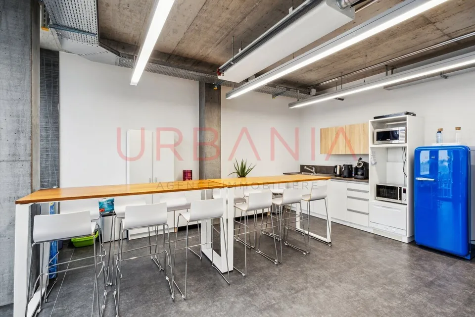 PONT-ROUGE- BEAUX BUREAUX AMENAGES DE 230 M2 – photo 6 sur 7
