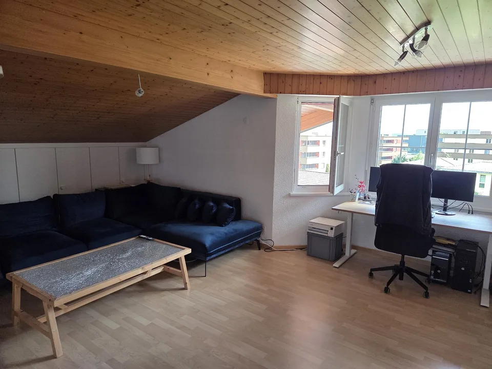Dachwohnung ohne Balkon