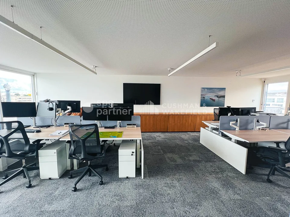 Uffici luminosi di 190 m² con terrazza e vista sul lago, Lausanne 82