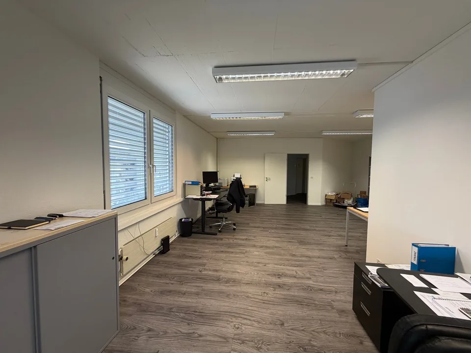 Spazi ufficiali su Dreispitz