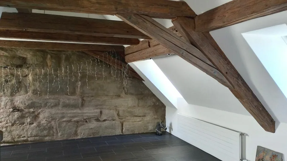 Abitare unico in un edificio storico (Schloss Sulzberg) in una posizione idilliaca