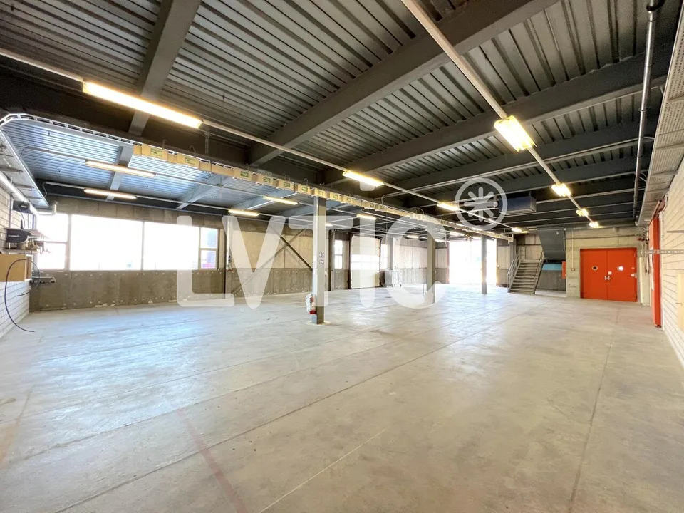 Ateliers, dépôts de 665 m2 divisibles dès 250 m2 à louer à Aigle