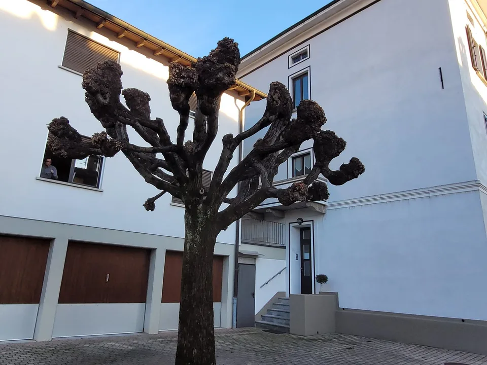 Affascinante Appartamento di 3 Locali nel Cuore di Mendrisio