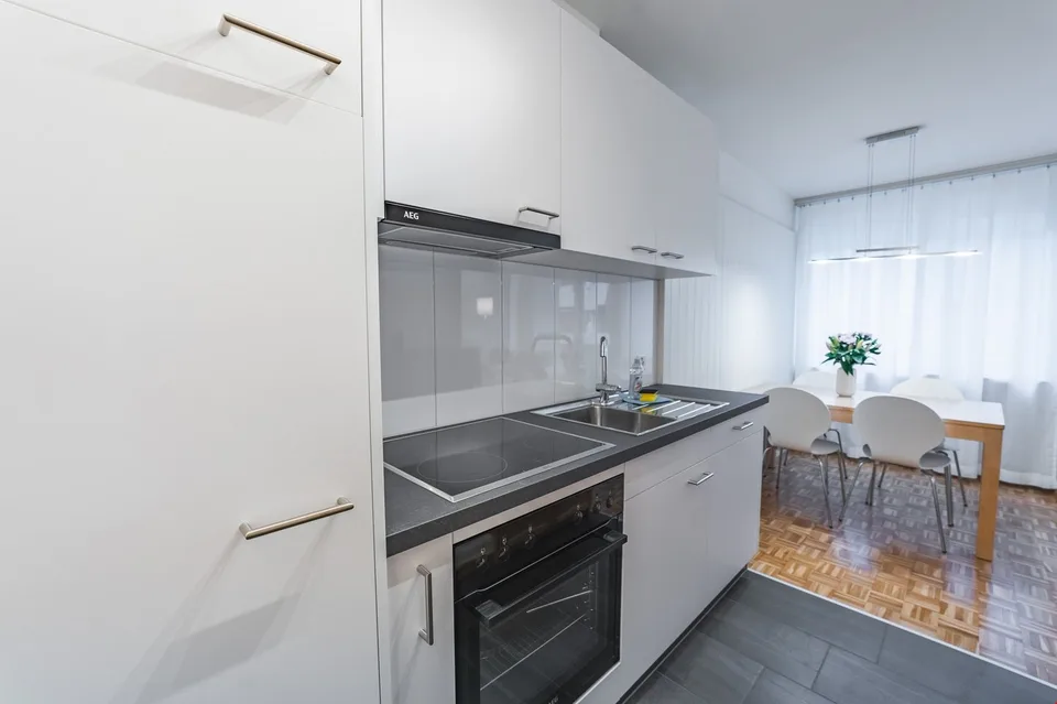 Appartements meublés rénovés à neuf derrière la gare principale/Quartier de Gundeldinger