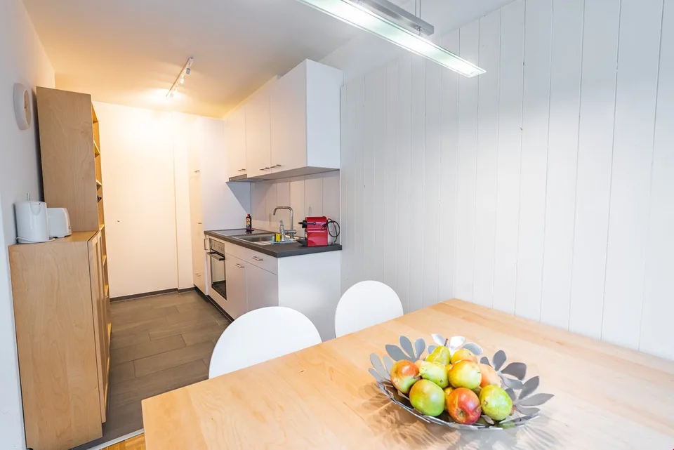 Appartements meublés rénovés à neuf derrière la gare principale/Quartier de Gundeldinger
