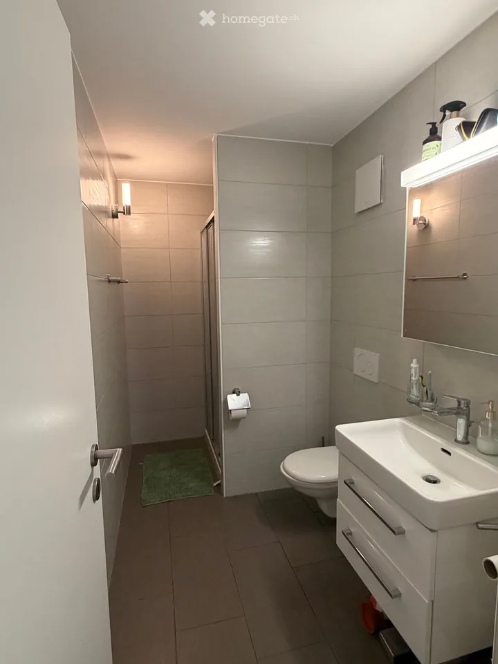 Bright 3.5-room apartment for rent