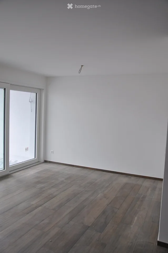 Appartamento di prima classe, ultra-moderno di 2,5 locali con terrazza soleggiata (senza giardino)