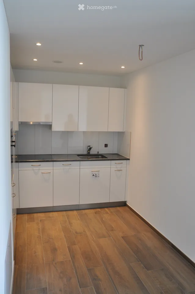 Appartamento di prima classe, ultra-moderno di 2,5 locali con terrazza soleggiata (senza giardino)