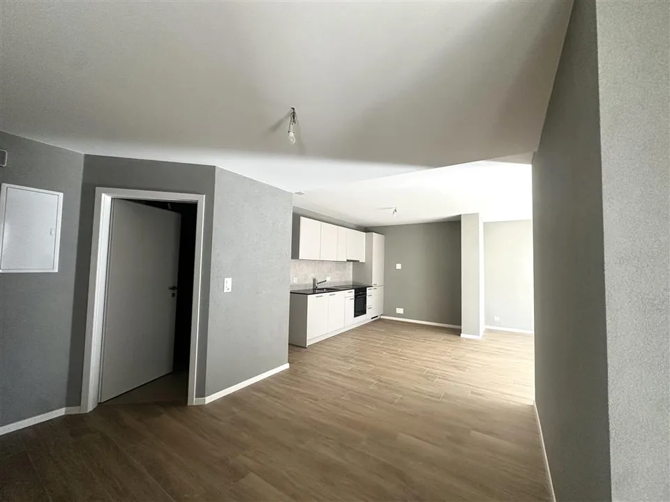 Appartement,3.5,92