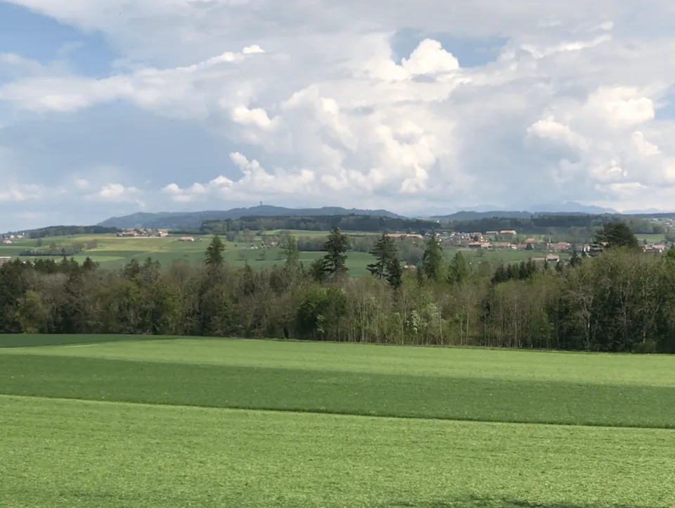 Neue Vermarktung von 4 Einfamilienhäusern – Foto 8 von 14
