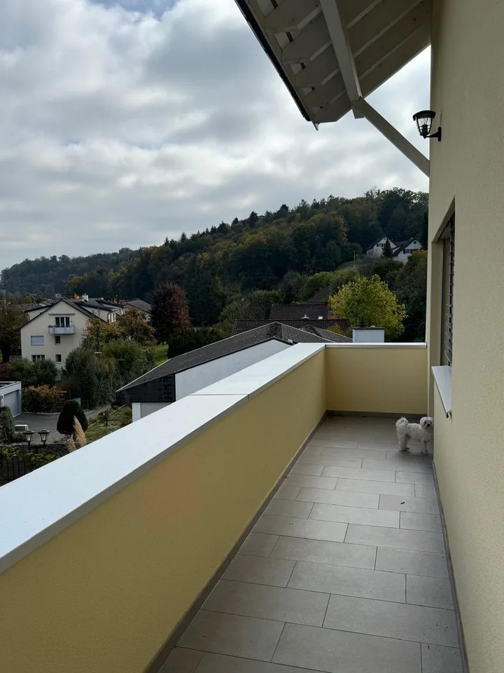 Exklusives Einfamilienhaus mit Einliegerwohnung an ruhiger Hanglange. – Foto 23 von 30
