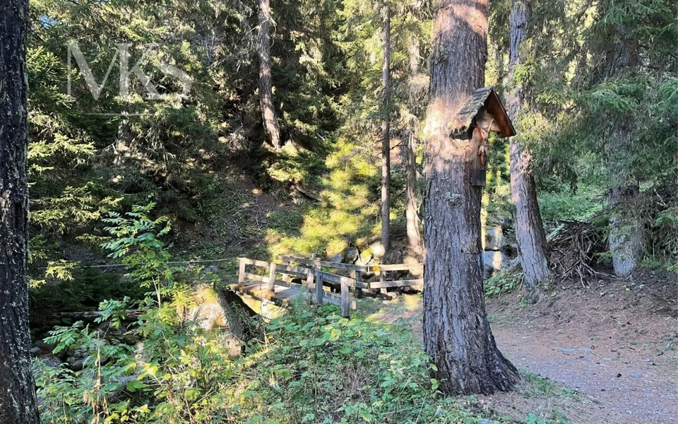 Bain de forêt dans votre Maiensäss à Goms – photo 11 sur 14