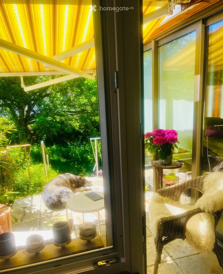 Guest house or shared accommodation, large plot in Bure Jura