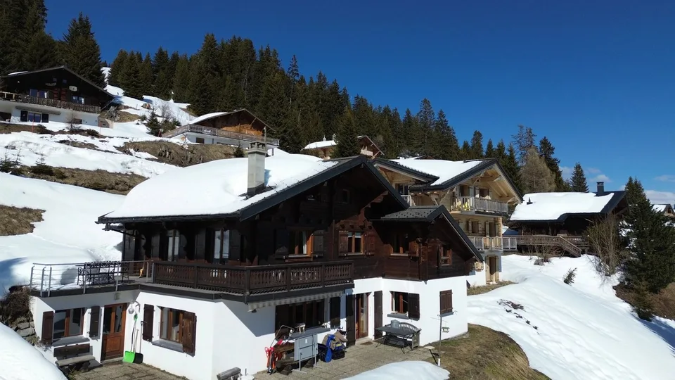 Chalet familial / Portes du Soleil / les Crosets