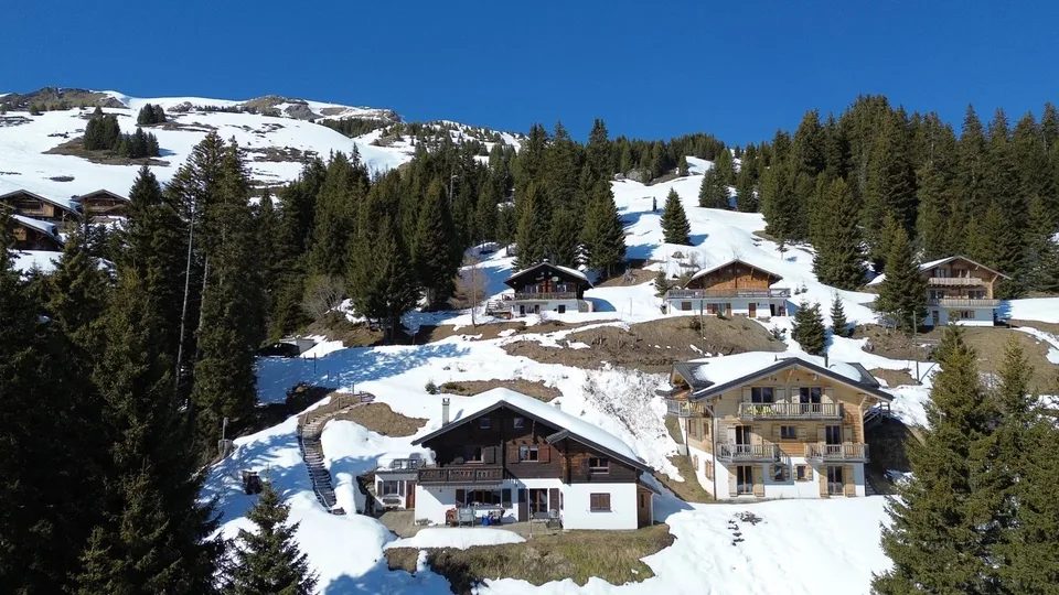Chalet familiare / Portes du Soleil / les Crosets