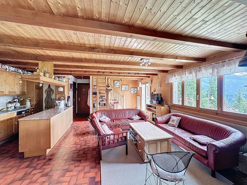 Chalet familiare / Portes du Soleil / les Crosets