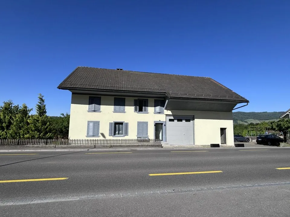 Top Opportunity! Completely Renovated Multi-Family House with Building Land Reserve