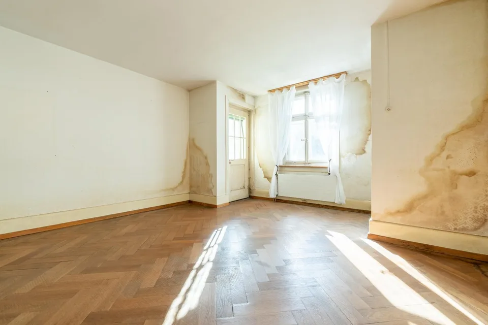 Duplex house with development potential
