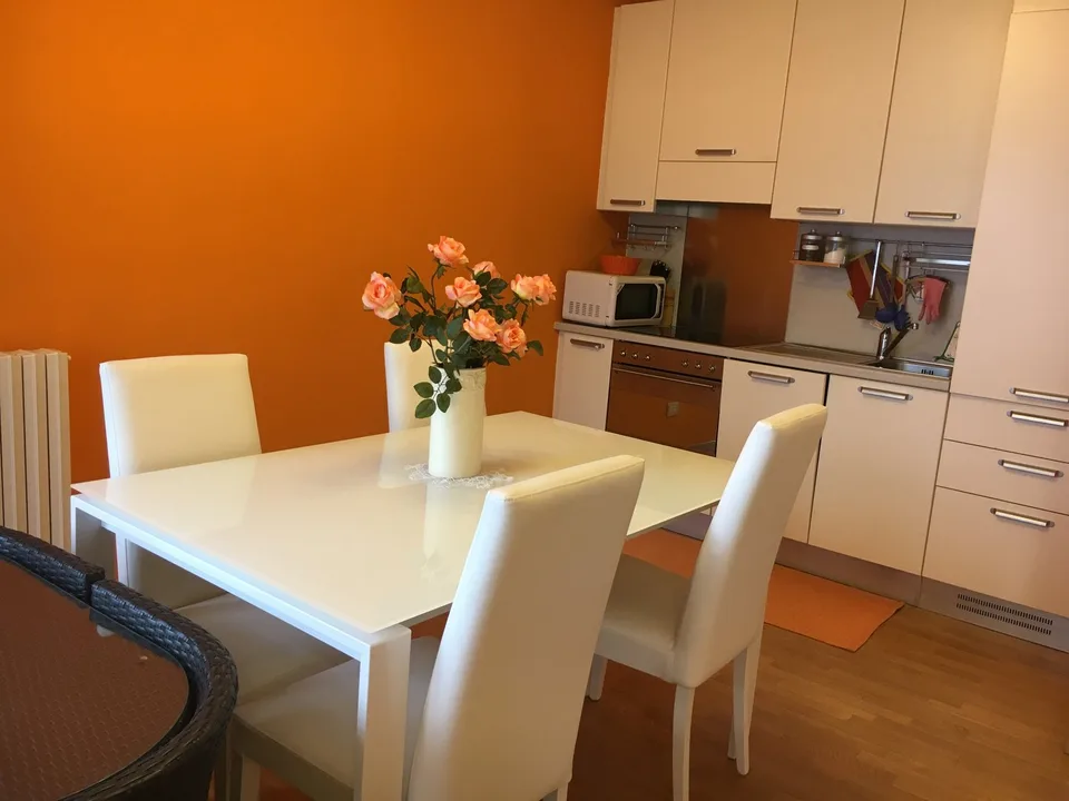 STUPENDES 2-ZIMMER-APARTMENT MIT TERRASSE UND SEEBLICK, PARKPLATZ